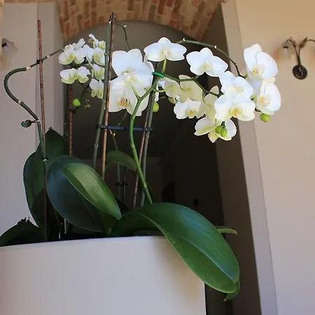 Bed & Breakfast Dimora Cortese